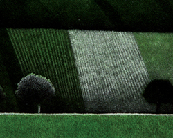 Žarko SMILJANIĆ - Green fields (détail), 2008, manière noire, 11x18.5 cm, 14/50